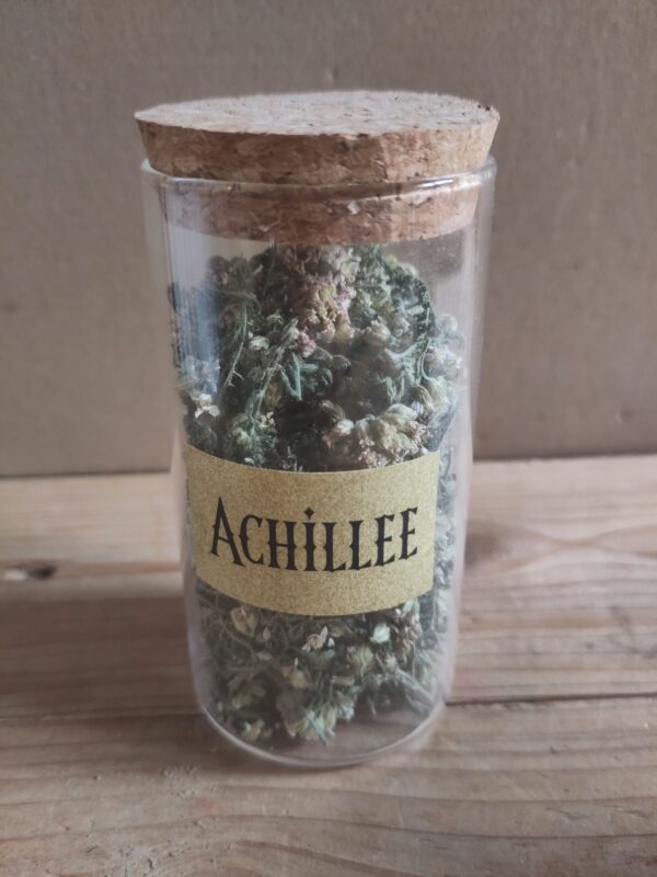 Herbes aromatiques – Image 4