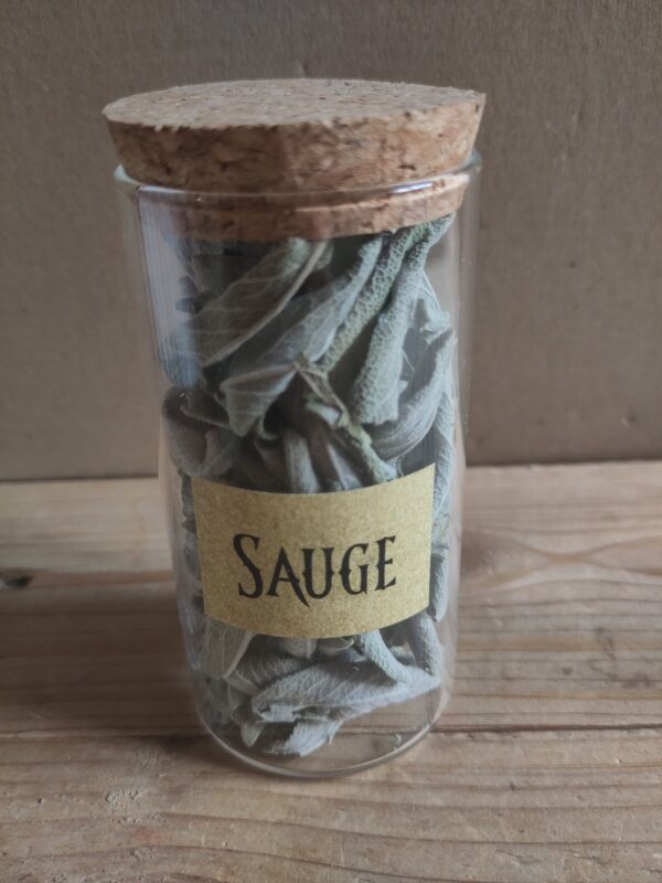 Herbes aromatiques – Image 3